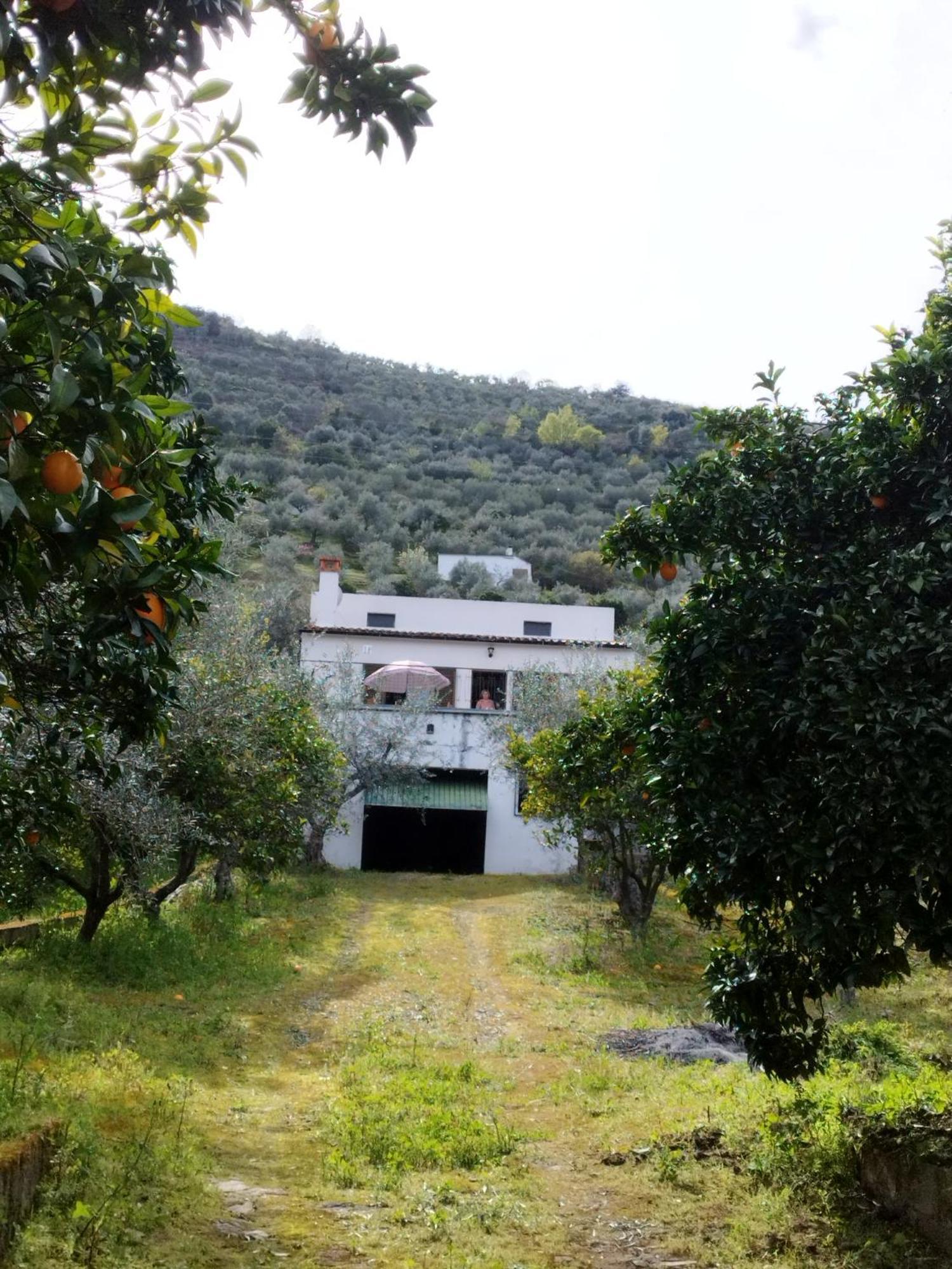 Casa Do Rio Villa Freixo de Espada a Cinta Ngoại thất bức ảnh