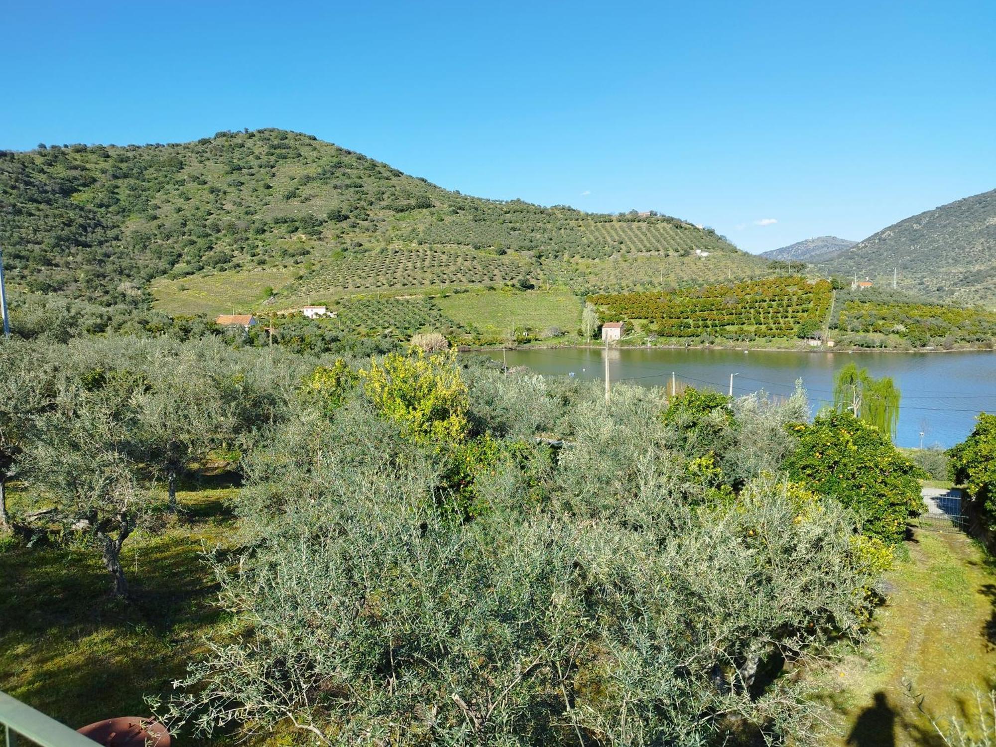 Casa Do Rio Villa Freixo de Espada a Cinta Ngoại thất bức ảnh